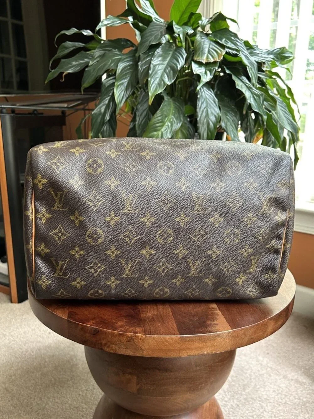 LOUIS VUITTON Monogram Speedy 30